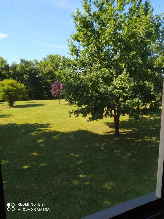 Guest House La Carolina Tigliole Екстер'єр фото